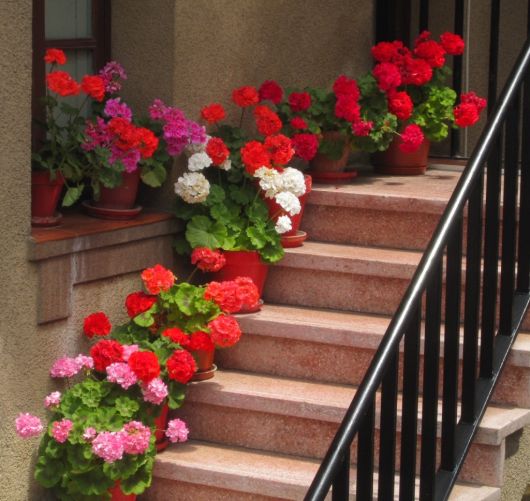 decoração de escada com flores vermelhas