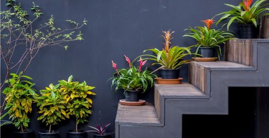 decoração de escada com plantas no lado externo