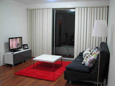 salas com sofá preto decoração tapete vermelho