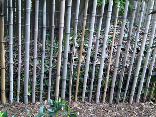 cerca-para-jardim-como-e-bambu
