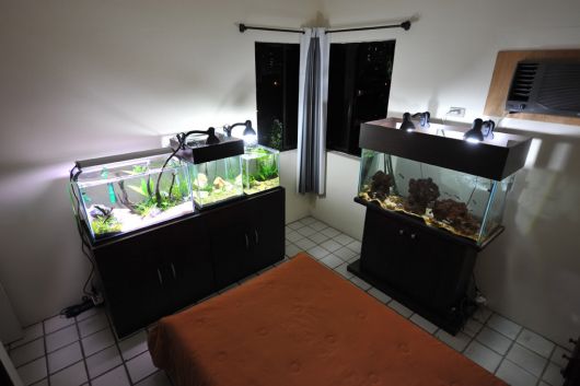 aquario-simples-no-quarto
