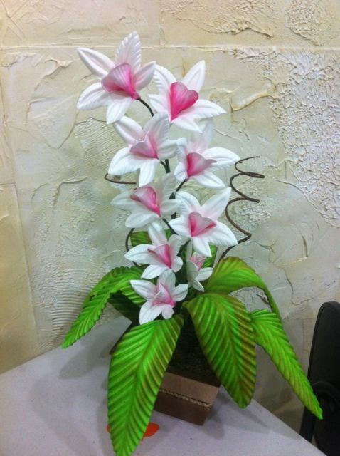 orquídea duas cores