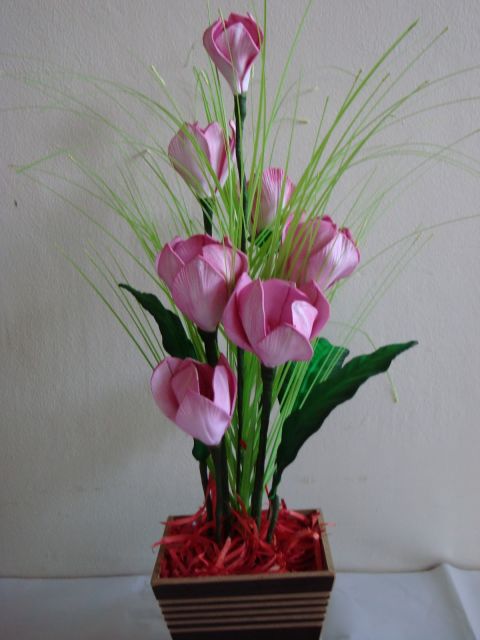 tulipa cor de rosa