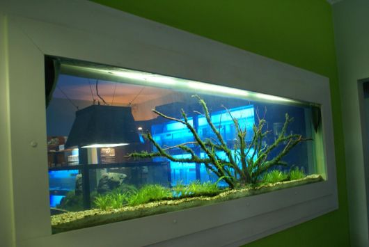 fotos-de-aquarios-na-parede-ideias