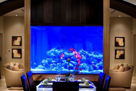 fotos-de-aquarios-sala-de-jantar-ideias