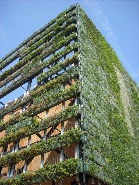 fachadas-verdes-ecologicas-3