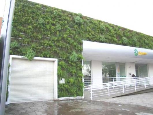 fachadas-verdes-ecologicas-como-sao
