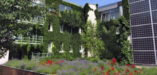 fachadas-verdes-ecologicas-destaque-hotel