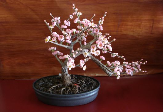 arvore-artificial-mini-bonsai-cerejeira