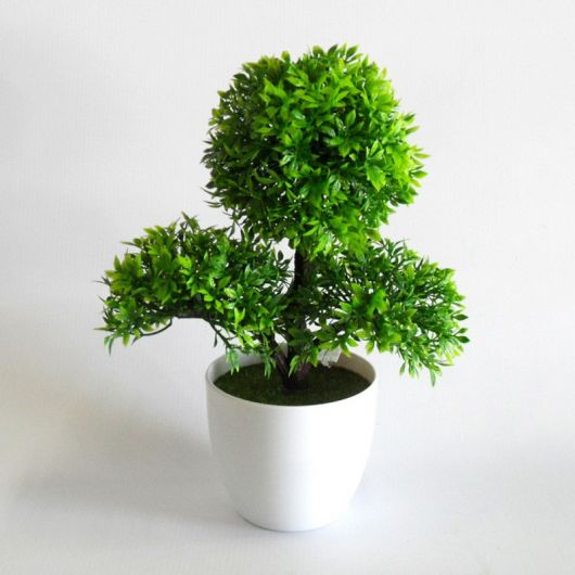 arvore-artificial-mini-bonsai-dicas