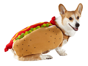 fantasias-para-cachorro-hot-dog-1