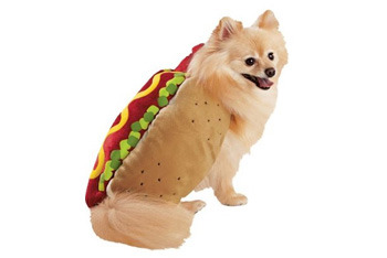 fantasias-para-cachorro-hot-dog-4
