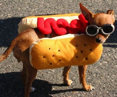 fantasias-para-cachorro-hot-dog-8