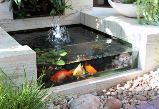 Lago com peixes no jardim com aparência de aquário