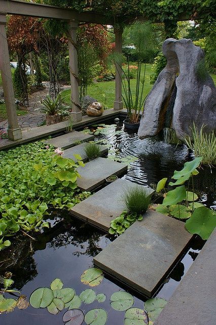 espelho d'água com plantas e caminho na superfície