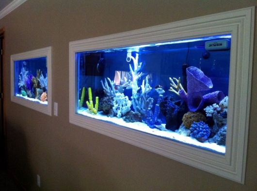 Dois aquários instalados na mesma parede, ambos tem muitas plantas e iluminação azul