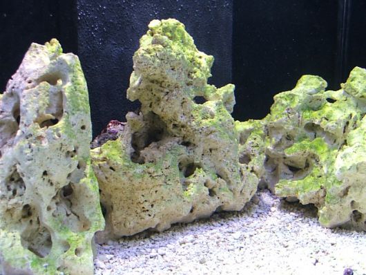 rochas para aquário marinho