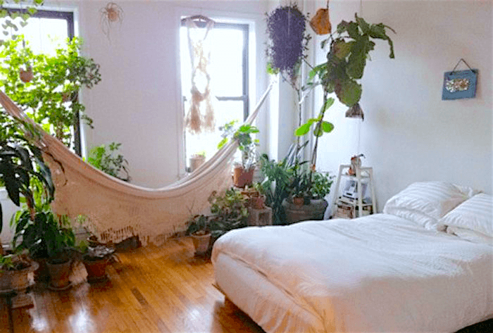 decoração com plantas em quarto de solteiro