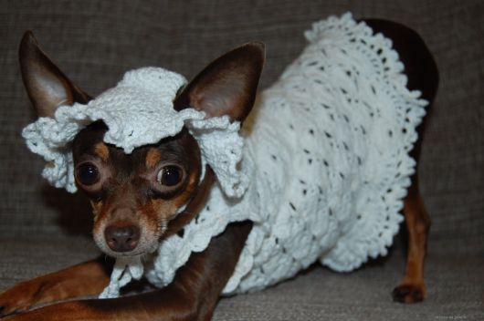 vestido de crochê cadela