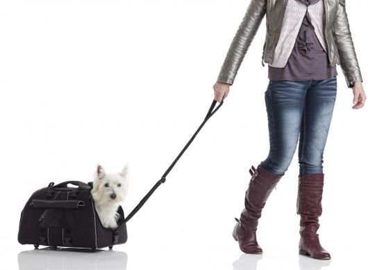 Bolsa com rodinhas para transporte de cãozinhos