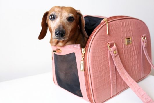 Bolsa chique para cachorro cor rosa