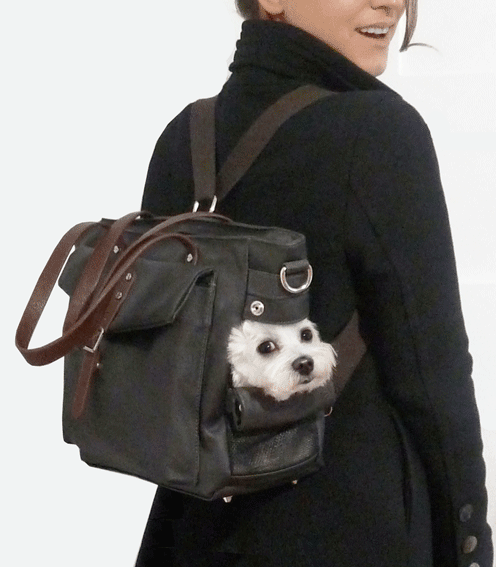 Mochila sofisticada para carregar seu dog