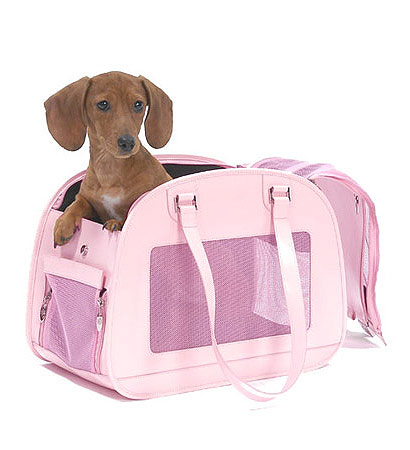 Escolha uma bolsa que dê para ver seu cãozinho 