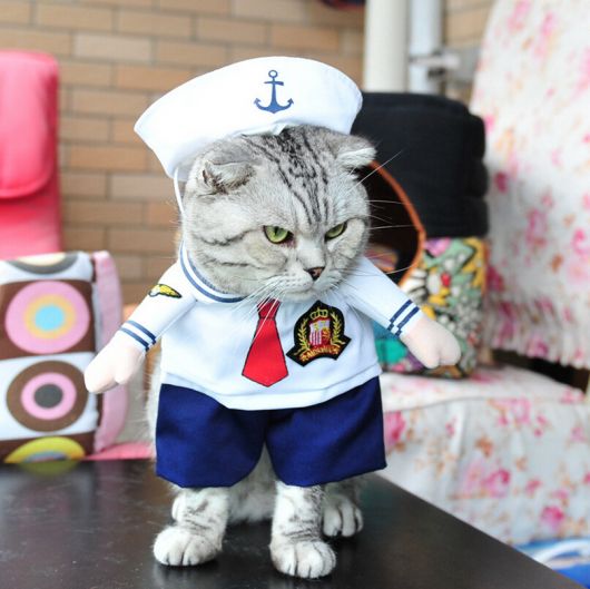 fantasia para gato marinheiro