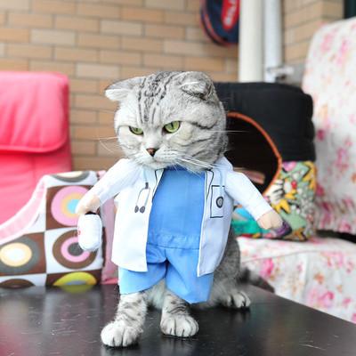 fantasia para gato médico