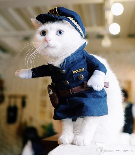 fantasia para gato policial