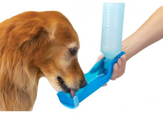 Bebedouro portátil azul para cachorro