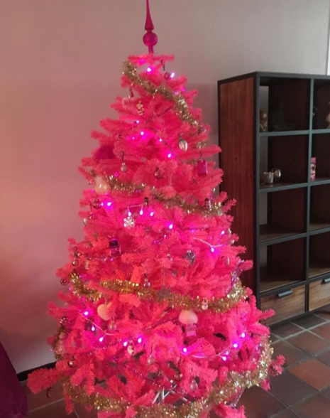 Árvore de Natal Rosa – 60 Ideias Apaixonantes & Dicas para Decorar!