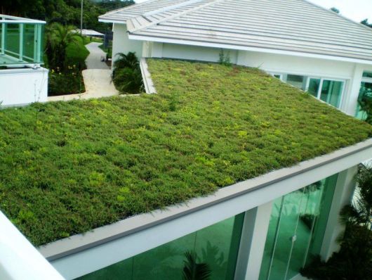 casa moderna com telhado ecológico