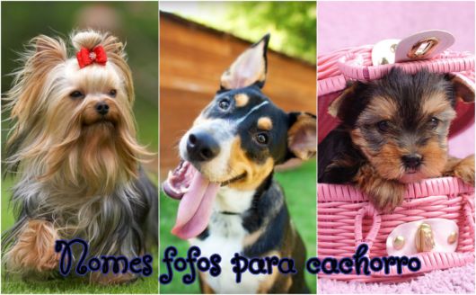 Riscos graciosos (Cute Drawings): Riscos de cães, cachorrinhos (Dogs,  Puppies) - #c…