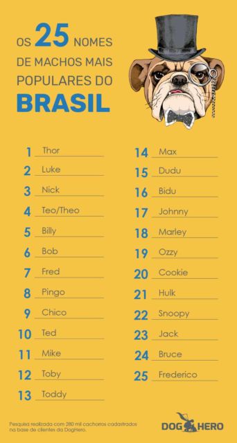 Lista de nomes de cachorros fonte dog hero