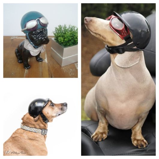 Diversos modelos de capacete para cachorro + ótimas dicas