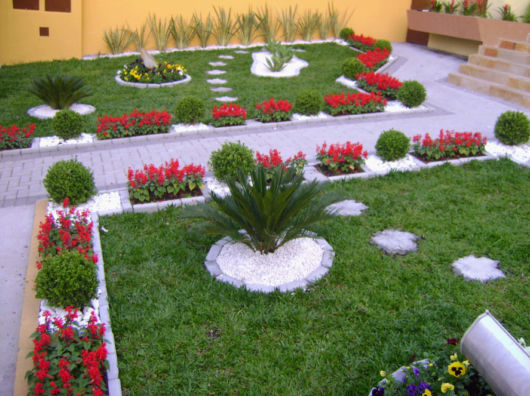 Jardim com plantas ornamentais