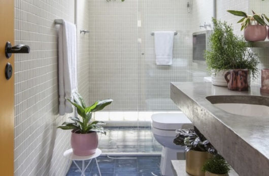 plantas para banheiro pequeno
