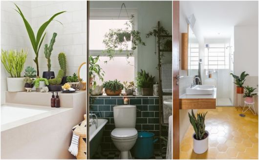 Banheiros com plantas
