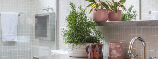 Decoração com plantas para banheiro