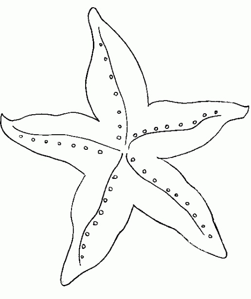 molde grátis estrela-do-mar