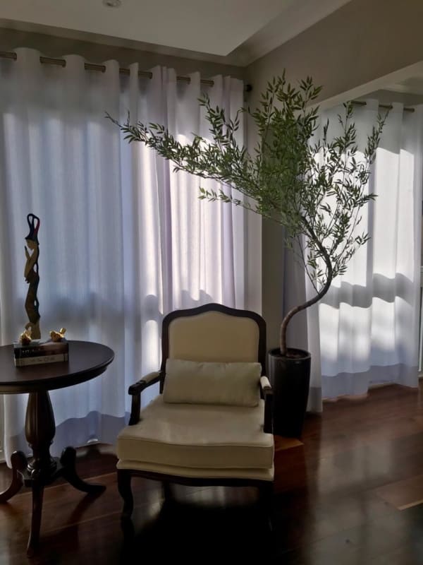 sala decorada com vaso de planta
