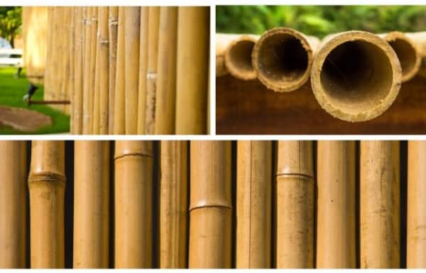 Como fazer cerca de bambu 