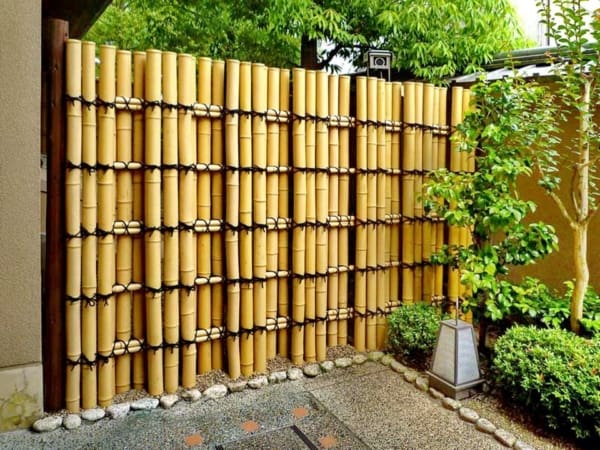 cerca de bambu gigante