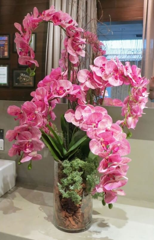tipos de orquídeas rosas