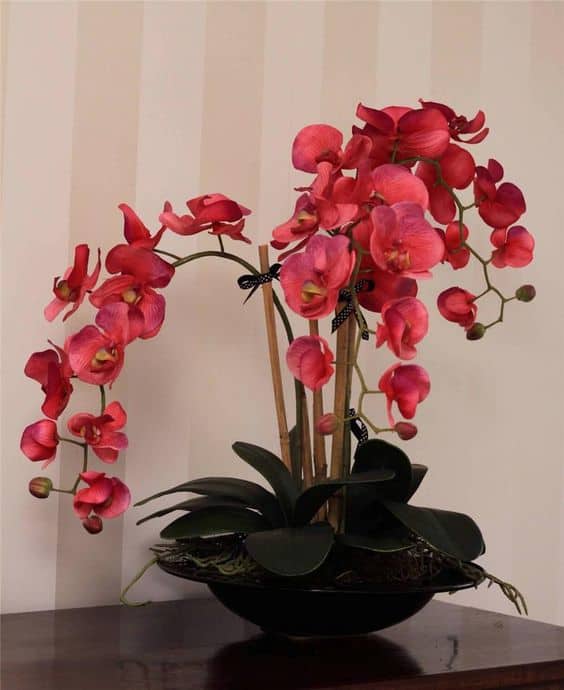 vaso de orquídeas rosas