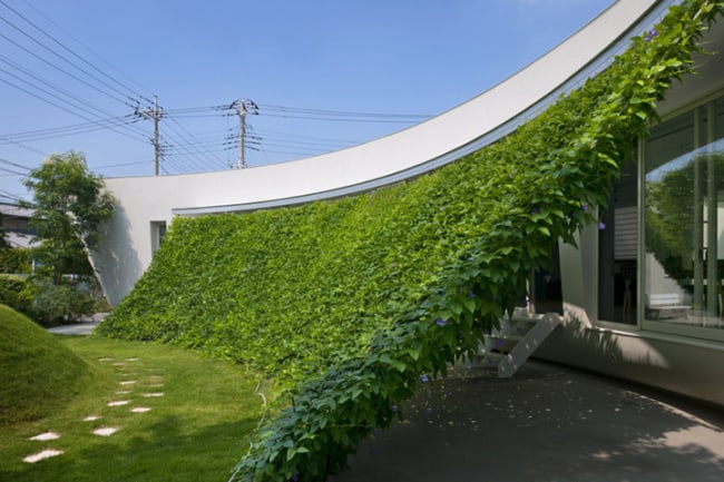 Projetos arquitetônicos sustentáveis green screen house