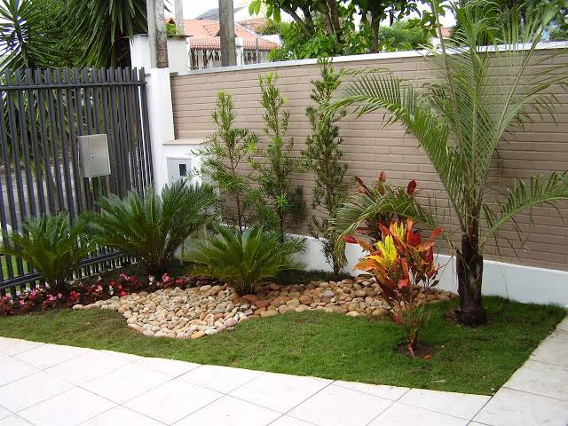 jardim com podocarpo