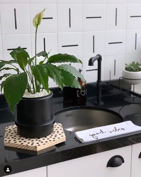 planta decorando a cozinha
