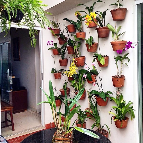 parede com vasos de orquídeas